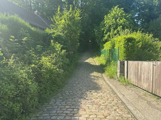 Mont St Aubert 2026